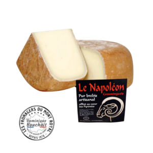 Napoleon Brebis Commingeois